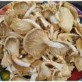 Dried mushroom