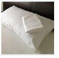 Soft Feel Desire Micro Fiber Pillows