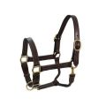 Brown Leather Horse Halter