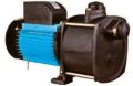 SW centrifugal monoblock submersible pumps