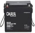 21.5 Kg Okaya SMF Battery