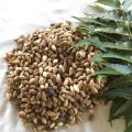 KARAVI HERBALS Organic Brown dried neem seed