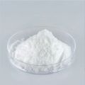L-Carnitine Base Powder