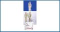 Sterile Powder free Examination Gloves