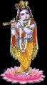 Vashikaran Astrologer in  Chitradurga | Vashikaran Specialist Pandit