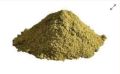 Coriander Leaf Powder