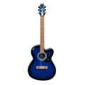 Plastic Wood Blue Black New Acoustic Guitar