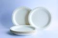10 Inch Round Biodegradable Plastic Plate