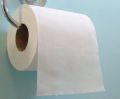 Paper Pulp Plain 34 gsm arizona white toilet paper roll