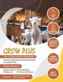 Brown Powder grow plus goat growth promoter