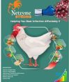 Powder netzyme strong poultry broiler growth promoter