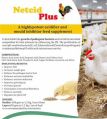 Powder poultry feed acidifier