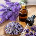 Lavender Buds Liquid os english lavender oil