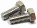Shiny Silver stainless steel 304 bolt
