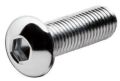Silver SS finish Any good one stainless steel button head screw