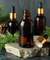 Liquid Go Young Ayurveda pine needle essential oil