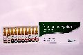 Pheniramine Maleate IP 22.75 mg Injection