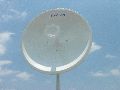 30dBi MIMO Dish Antenna