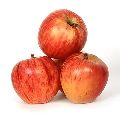 Red fresh kinnaur apple