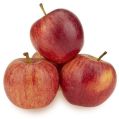 Red fresh shimla apple