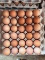 Brown poultry desi eggs
