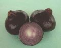Natural Blackish Red hybrid black onion seeds