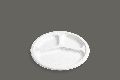 9 Inch 3 CP Round Bagasse Plate