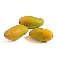 Fresh Dasheri Mango
