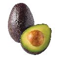 Organic fresh hass avocado