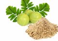 Amla Powder