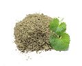 Brahmi Powder