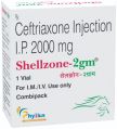 Shellzone-2 gm Injection