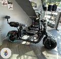 new x1 urbanfox scooter coco bike