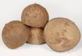 Raw Brown coconut shell