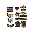 Brass Military Badges