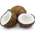 Solid semi husked coconut