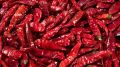 dried red pepper chilli