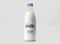 White Liquid donkey milk