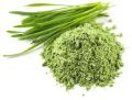 Green Organic Wheat Grass Powder