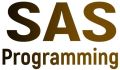 SAS Online Training from India