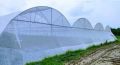 Wire Mesh Net As per requirement dome shade net house