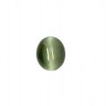 Polished Round As Per Requirement New oval cabochon cut cats eye stone