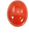 Oval Coral Cabochons Stone