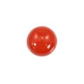 Polished Natural Red round coral cabochon stone