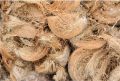 Organic Natural Sun Dry Natural Brown Solid coconuts husk