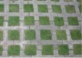 Concrete Plain Square Green grass paver block