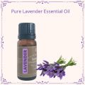 Pale Yellow Liquid Lavender Essential Oil