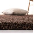 Brown Shaggy Floor Carpet