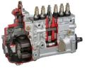 Fuel Injection Pump Repairing Service