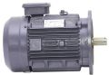 IE 2 Cast Iron Flange Mounted Induction Motor